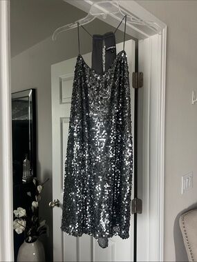 Express Silver Sequin Dress